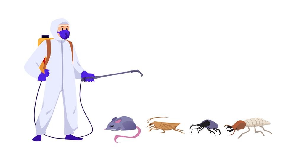 Different kinds of pests