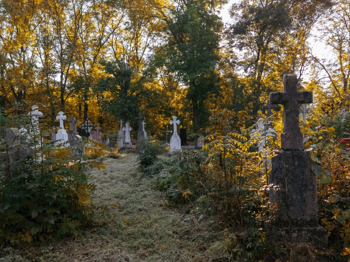 graves overgrown with weeds