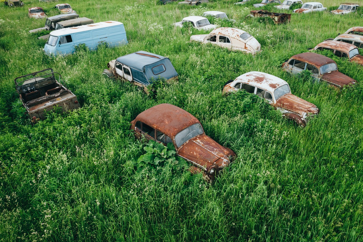 old retro rusty abandoned cars in high green grass