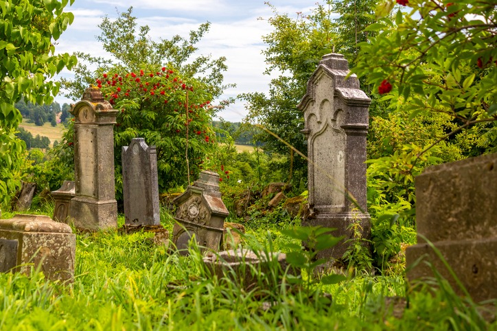 tombstones in an old abandoned cemetery