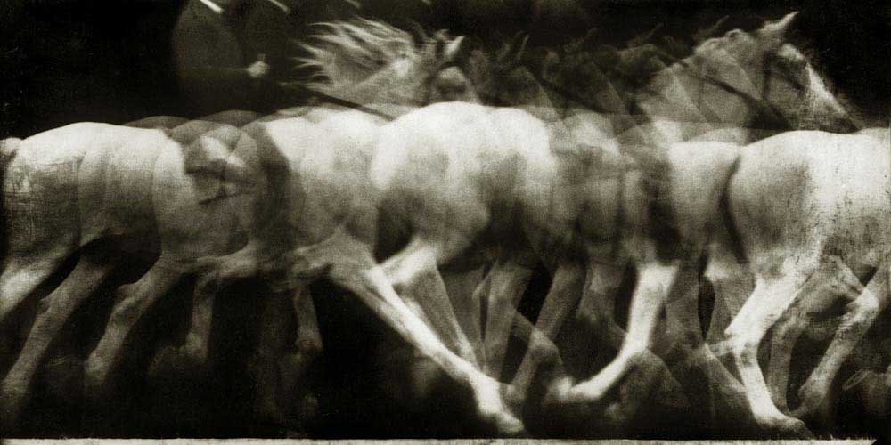 A chronophotographic study of horse motion by Etienne-Jules Marey in 1886
