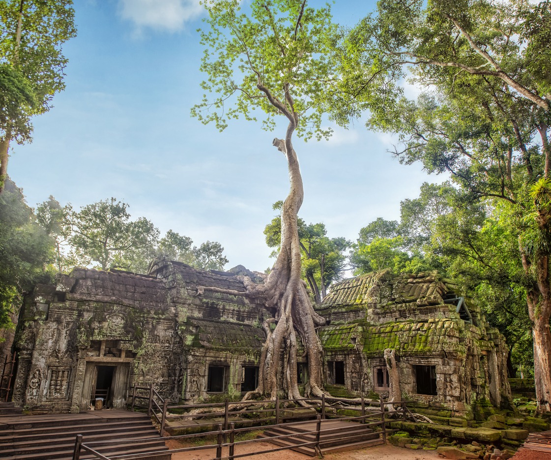 Angkor Ta Prohm Temple of Angkor Thom in Cambodia