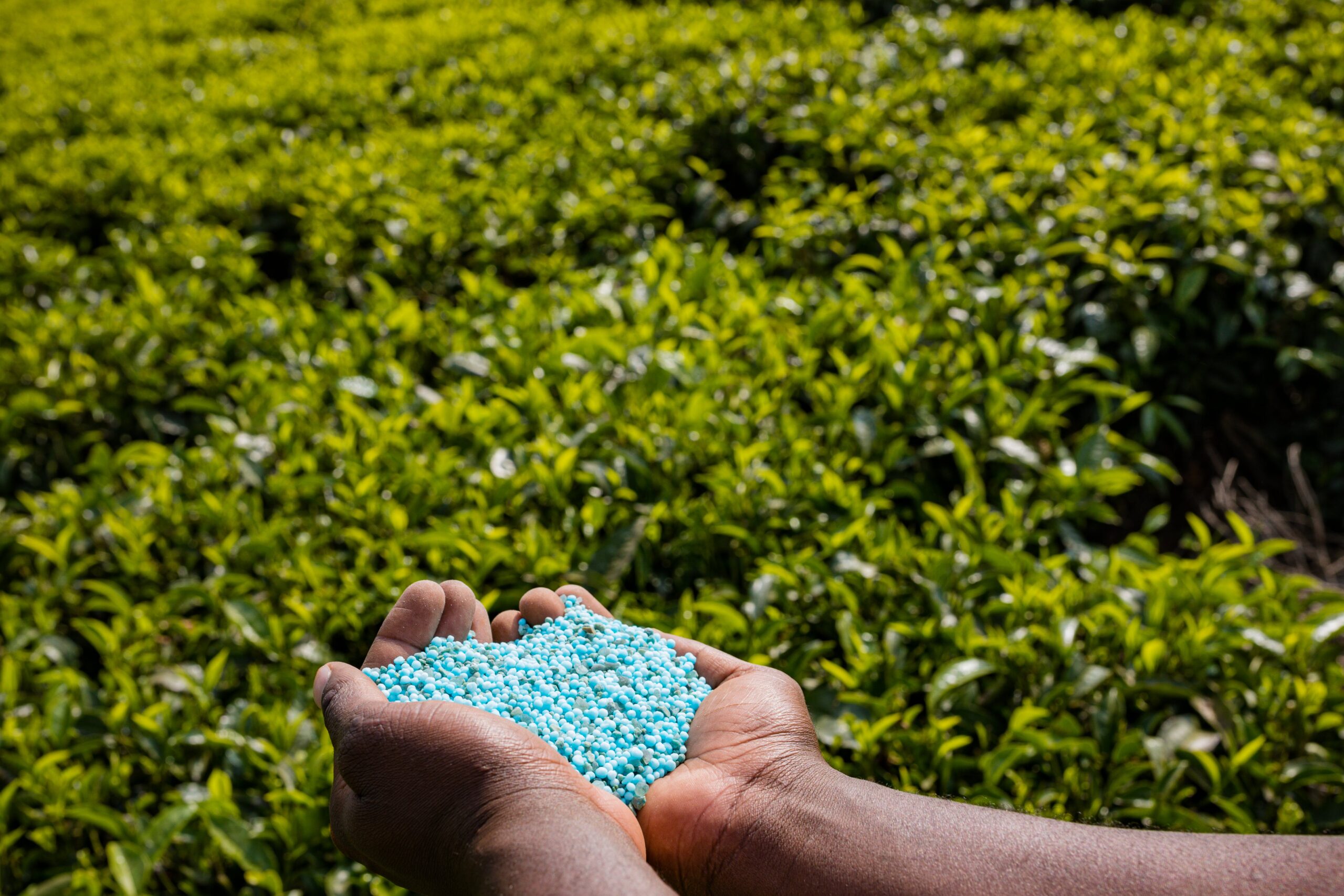 Blossoming Growth Nurturing Prosperity with Our Fertilizer Manufacturing Expertise
