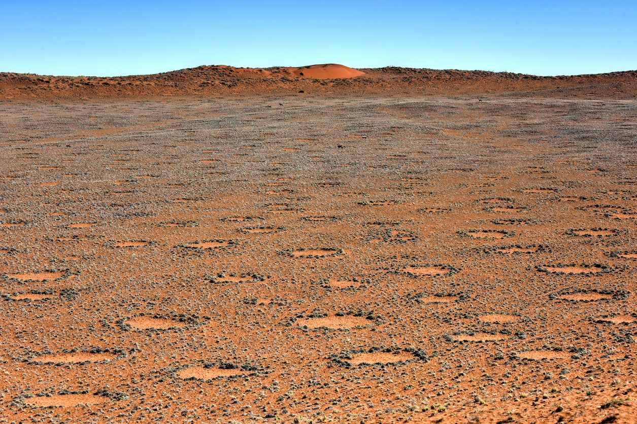 Fairy Circles in Namibia