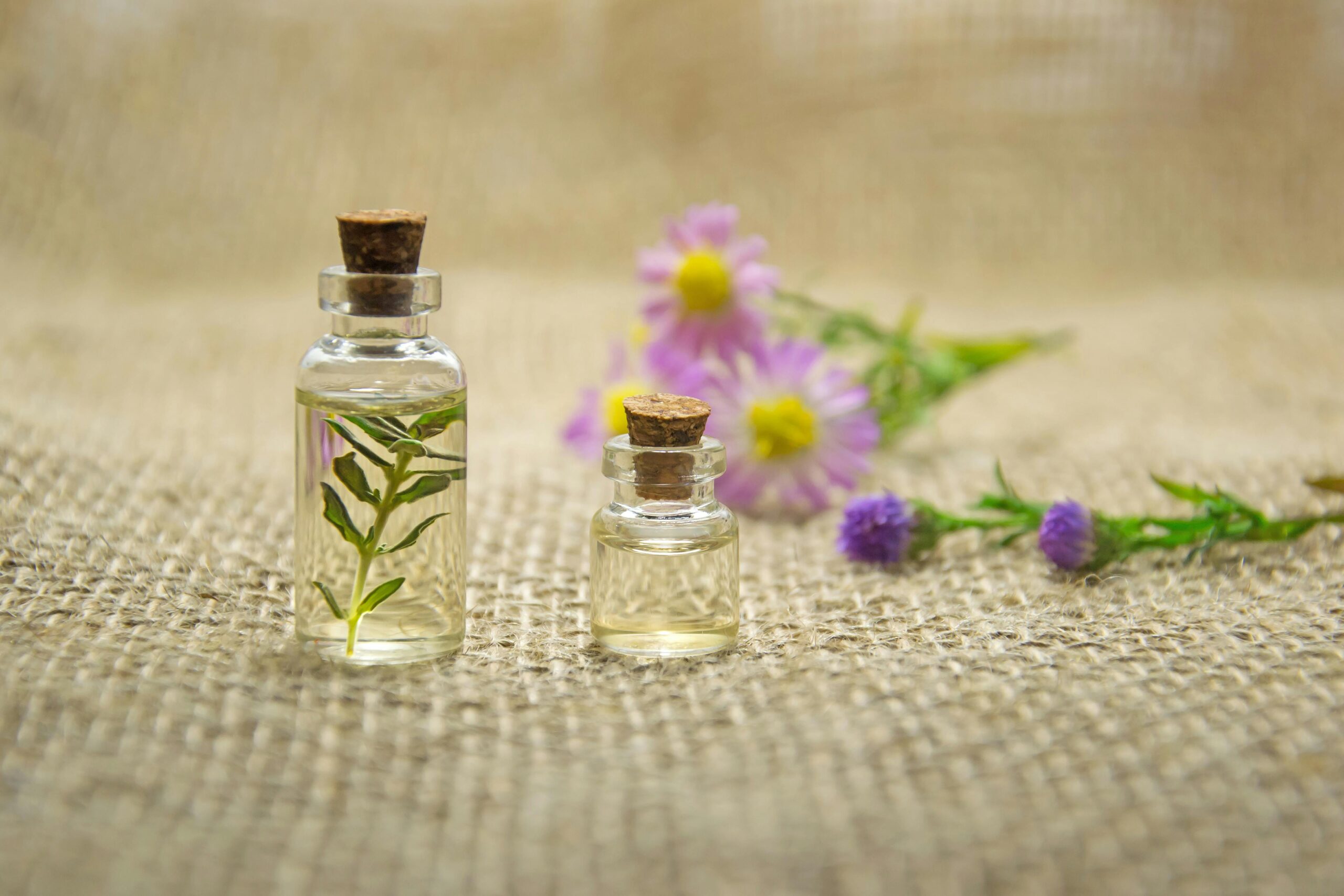 Harmony In A Bottle Unveiling The Calming Symphony Of Essential Oils