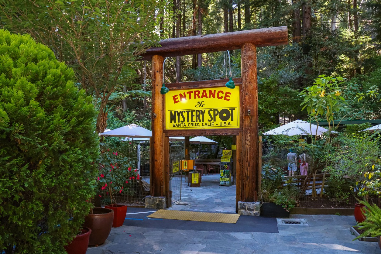 Santa Cruz Mystery Spot attraction