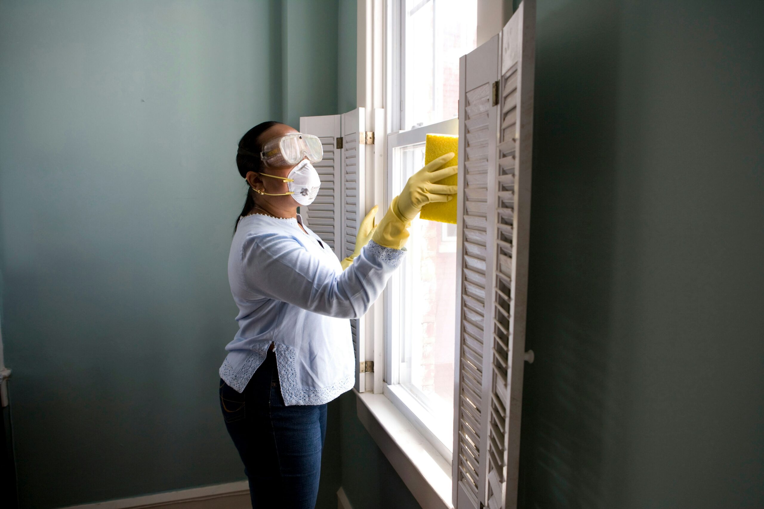 The Cost of Ignoring Pest Problems in Your House