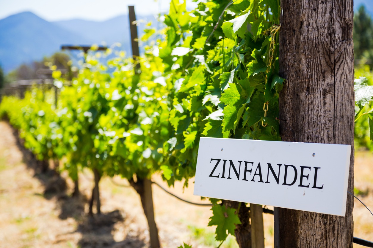 Zinfandel grapes are grown at this winery and vineyard in Southern Oregon