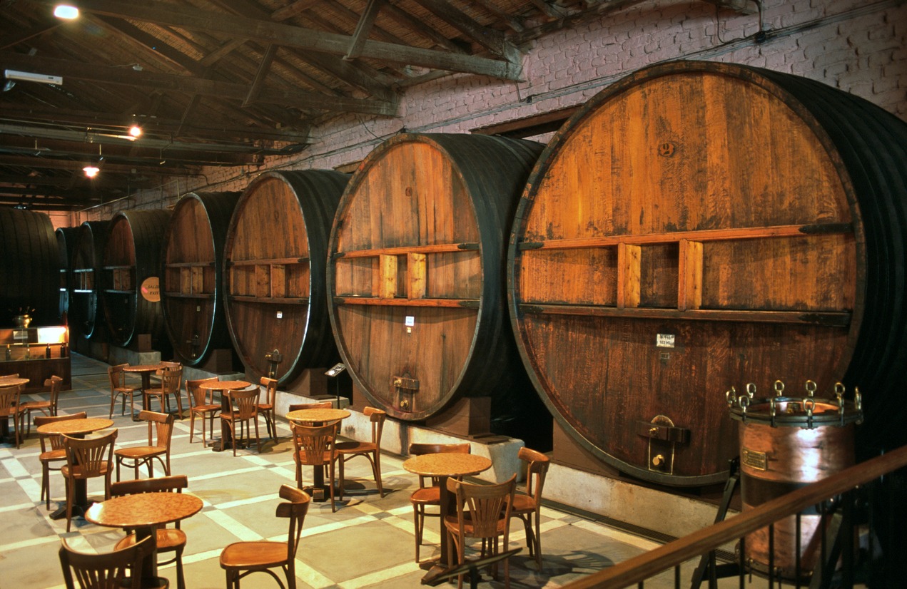 a winery tasting room