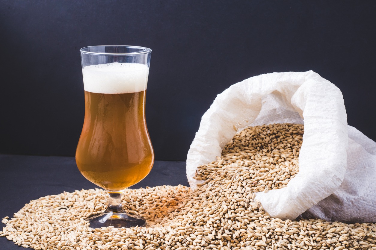 craft beer in glass and grains of barley pale malt poured out of a canvas bag