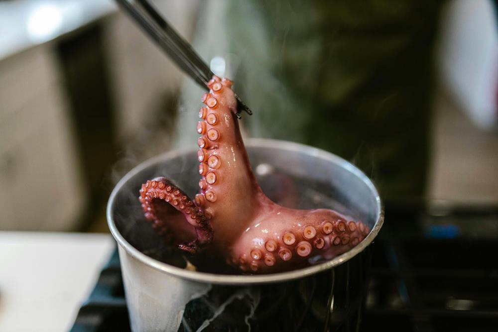 Slow-cooking an octopus
