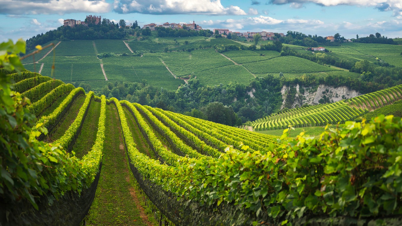 Langhe vineyards panorama, near Barolo, Unesco Site, Piedmont