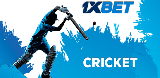 Place bets on cricket with 1xBet