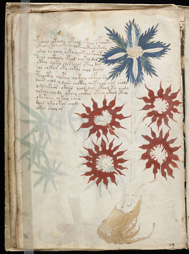 a page from the Voynich Manuscript