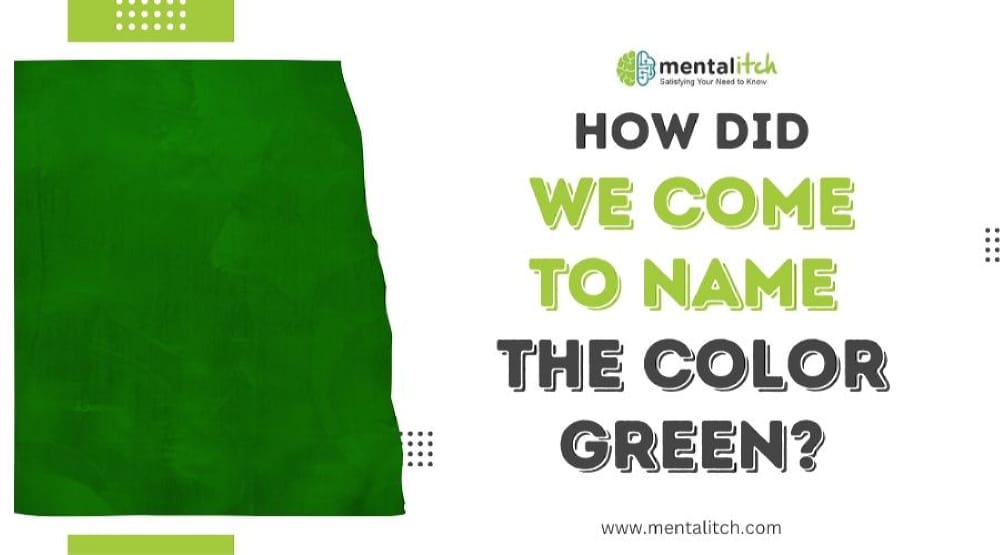 How Did We Come to Name the Color Green?