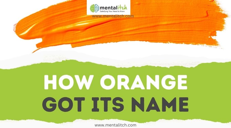 How Orange Got Its Name