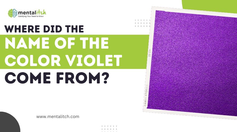Where Did the Name of the Color Violet Come From?