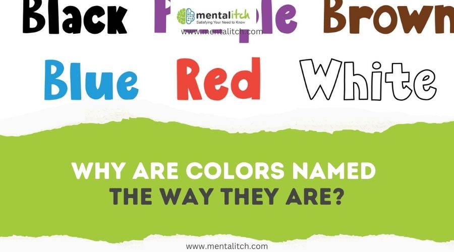 Color names set with hand drawn text