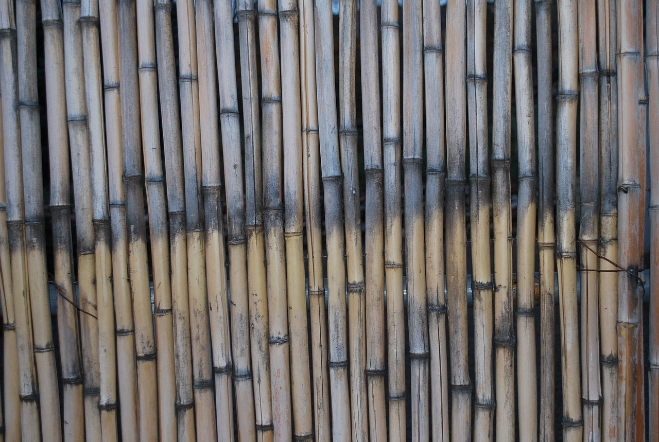 Eco-Friendly Bamboo Flooring