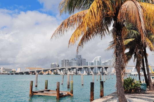 List of the best Airbnb Neighborhoods in Miami Canada