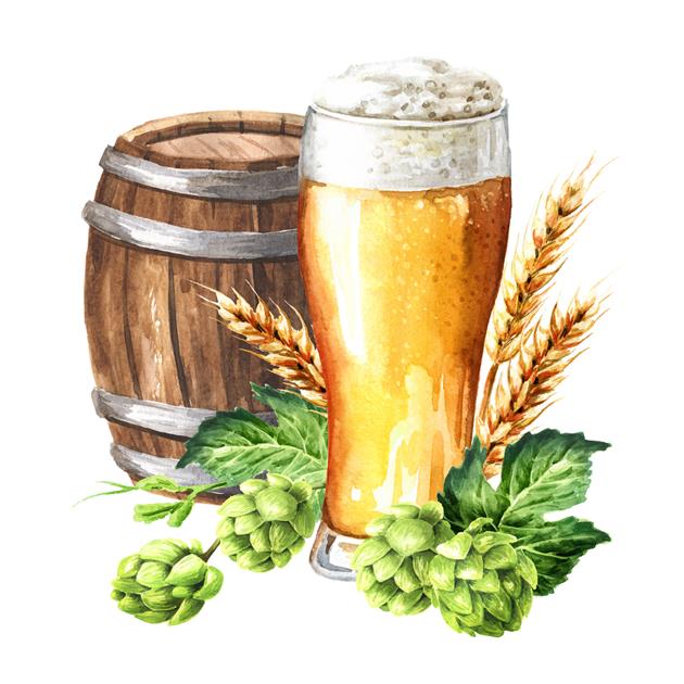 Hand drawn wooden barrel with beer, glass and fresh green hops and ears of wheat and barley