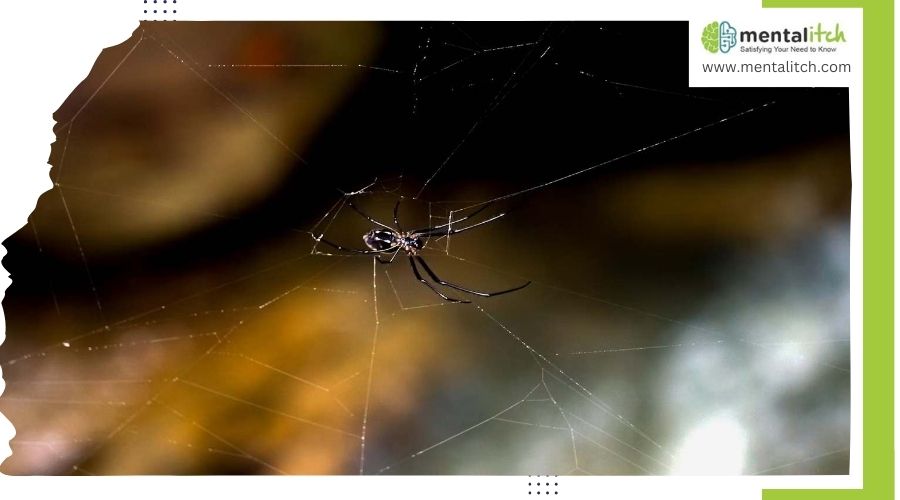 How Does the Spitting Spider Subdue Its Prey?
