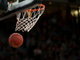 How Can Basketball Fans Stay Connected During the Off-Season Strategies for Year-Round Engagement